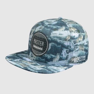 Printing Embroidery snapback Hats/Caps