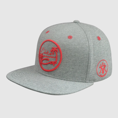 Gray Embroidery snapback Hats/Caps