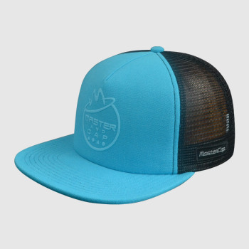 Printing Logo and Woven Embroidery Snapback Hats/Caps