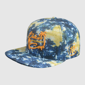 Heat Transfer and 3D Embroidery Snapback Caps