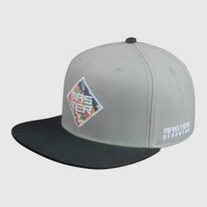 Embroidery Logo Snapback Caps and Hats