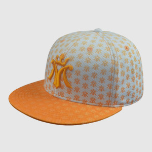 3D Embroidery and Printing Snapback Caps and Hats
