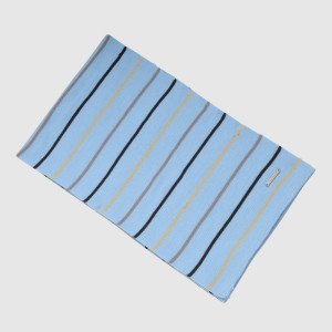 Blue Stripe Knit Scarf