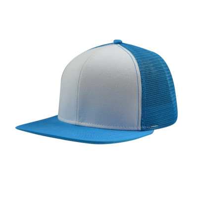 6 Panel Snapback Hats and Colour BLue and WHite