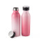 Everich 2547B Stainless Steel Vacuum Insulated Bottle