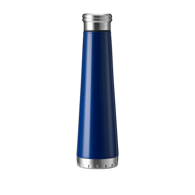 EVERICH 119445 Stainless Steel Insulated Vacuum Bottle