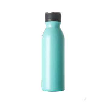 EVERICH 01590 Stainless Steel Insulated Vacuum Bottle