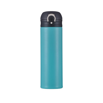 EVERICH 103006 Stainless Steel Insulated Vacuum Bottle 500ml
