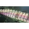 Collective Milk Bottles Automatic Feeding and Shrink Packing Machine