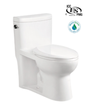 BL102 - CUPC Toilet for USA and Canada