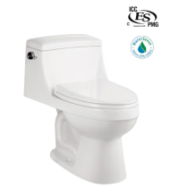BL101 - CUPC Toilet for USA and Canada