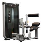 Equipo de gimnasio comercial FITNESS Lower Back