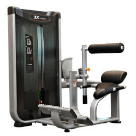 Commercial Gym Equipment FITNESS Lower Back