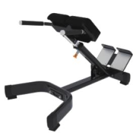 Commercial Gym Equipment FITNESS Back Extension Bench