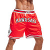 Basketball Shorts Lasted Design Custom Basketball Shorts Mesh shorts Wholesale