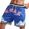 Kawasaki Lasted Design Mesh Shorts  Basketball shorts wholesale Custom Basketball Shorts