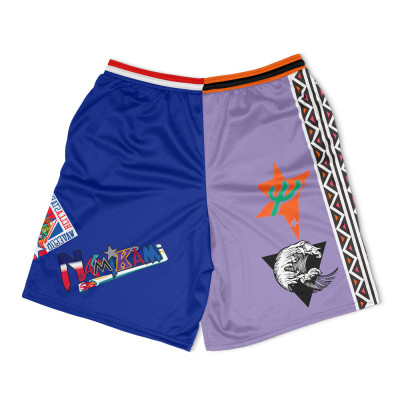 Custom wholesale Mesh Shorts Basketball shorts for men
