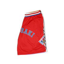 Custom wholesale Mesh Shorts Basketball shorts for men