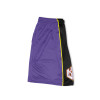 Custom Basketball shorts Sublimation Breathable Mesh Shorts wholesale