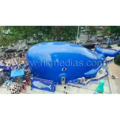 Big blue whale theme park
