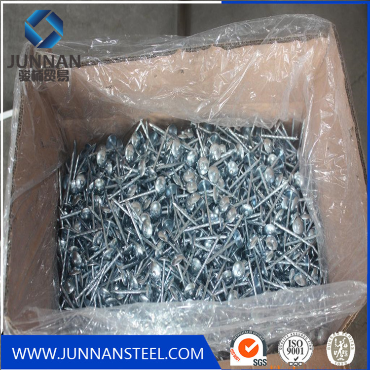 raw material of wire nail