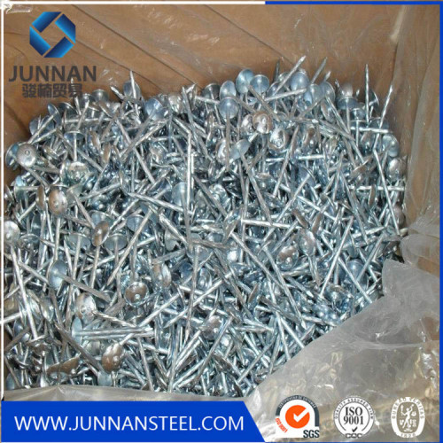 hot sale galvanized smooth Umbrella head Roofing Nails