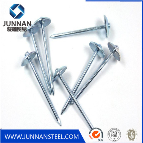 Galvanized Umbrella Head Roofing Nail Blue zinc coated nails twisted shan