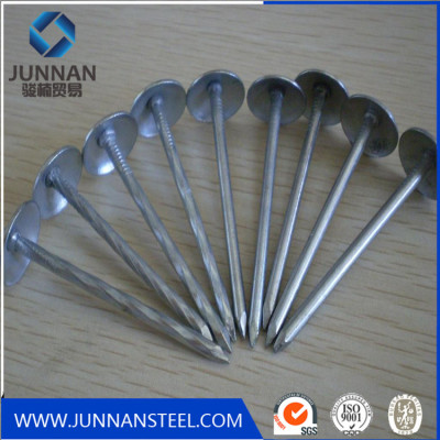 Galvanized Umbrella Head Roofing Nail Blue zinc coated nails twisted shan