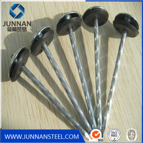 China factory wholesale round head brass nails for furniture
