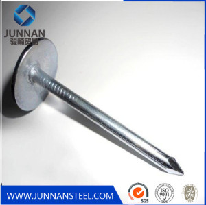 Umbrella head galvanized roofing nail with wahser