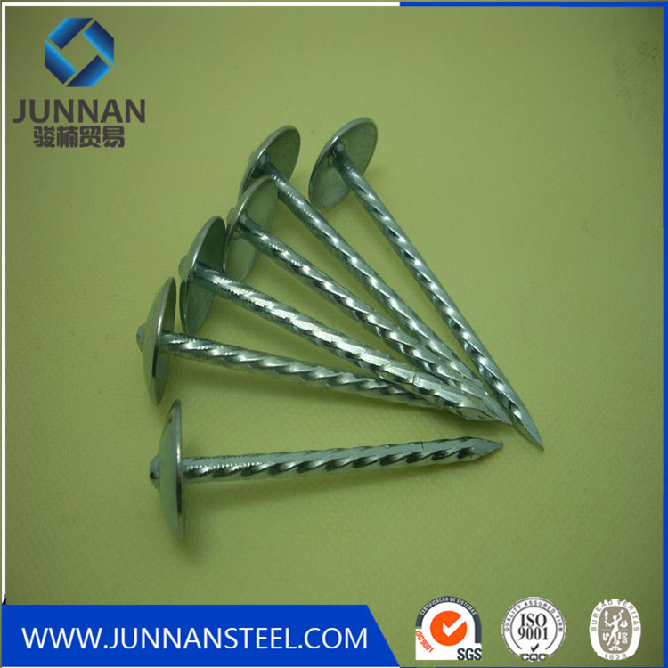 Construction material 11 gauge umbrella head galvanize roofing nail