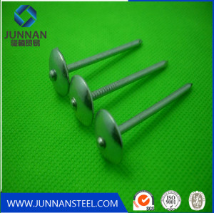 Galvanized Umbrella Head Roofing Nails Tangshan Supplier