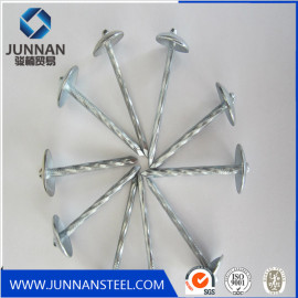 High quality Umbrella head  roofing nail supply by factory