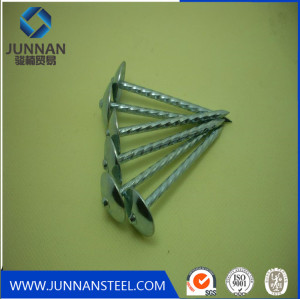 High quality Umbrella head  roofing nail supply by factory