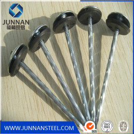 Galvanized Umbrella Head Roofing Nails Tangshan Supplier