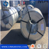 DX51D PPGI Color Coated Galvanized Steel Coil Stainless Steel Coil