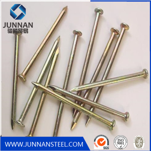 competitive price galvanized common wire nails from factory