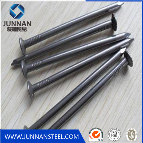 competitive price galvanized common wire nails from factory