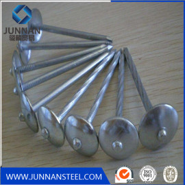 Umbrella head rooofing nails /galvanized hardened steel concrete steel nails with cheap price