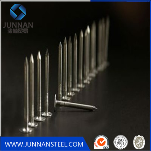 Umbrella head rooofing nails /galvanized hardened steel concrete steel nails with cheap price