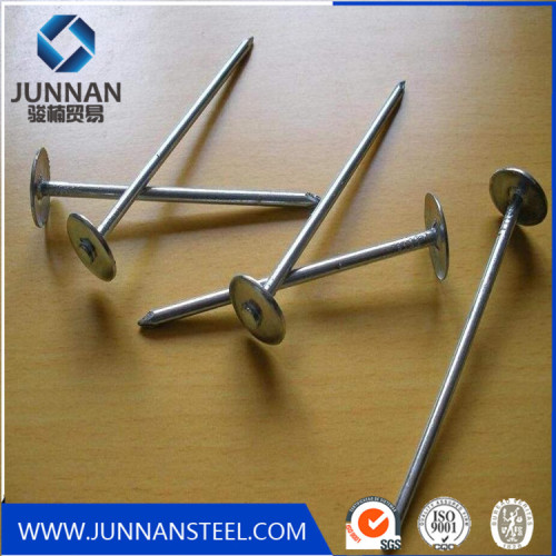 China factory wholesale round head brass nails for furniture