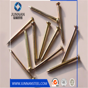 Diamond Point Polished Common Steel Nails