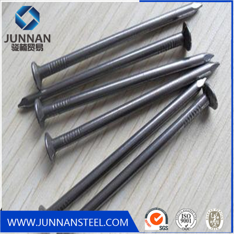 Common Round Wire Nail Galvanized Corrugated Roofing Nails Common