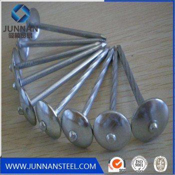 Screw Shank Roofing Nail with Umbrella Head in Material Q195