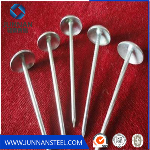 Screw Shank Roofing Nail with Umbrella Head in Material Q195