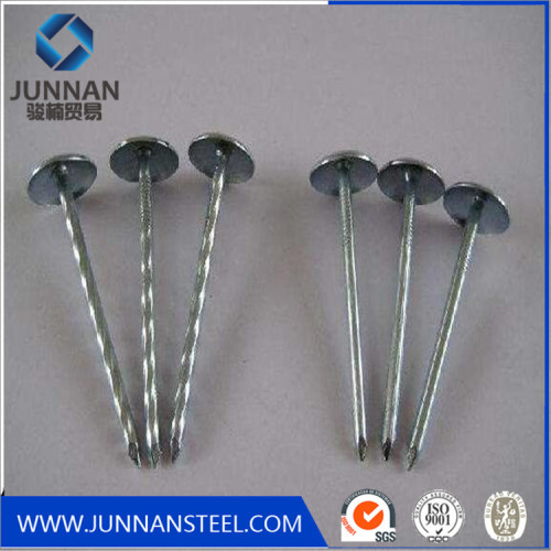 Screw Shank Roofing Nail with Umbrella Head in Material Q195