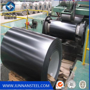 prepainted galvanized steel coil ppgi for exporting
