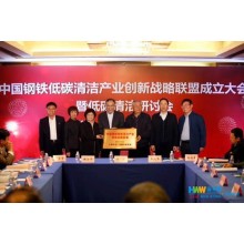 China Steel Low Carbon Cleaning Industry Innovation Strategic Alliance was Established in Shanghai