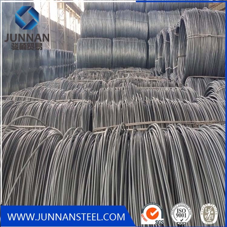Wire rod coil quality inspection view