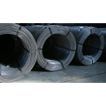 Tokyo Steel May Steel Prices Continue to Hold Stable